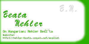 beata mehler business card